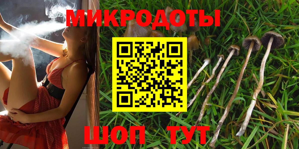 Галлюциногенные грибы MAGIC MUSHROOMS Дмитров