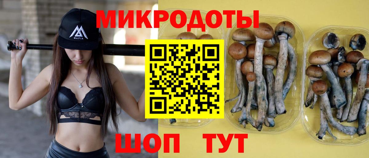 Дмитров  Псилоцибиновые грибы Psilocybine cubensis  Вход с VPN 